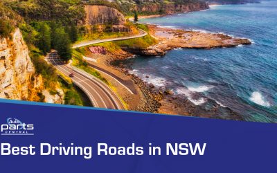 Best Driving Roads in NSW